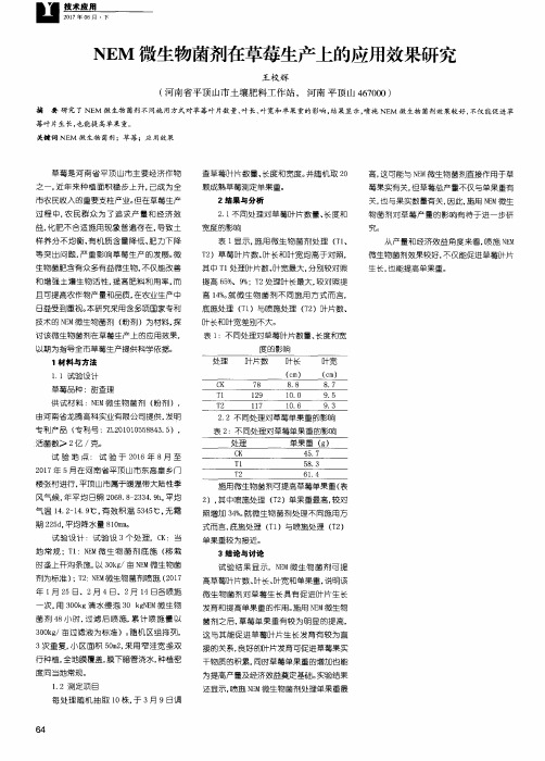 NEM微生物菌剂在草莓生产上的应用效果研究