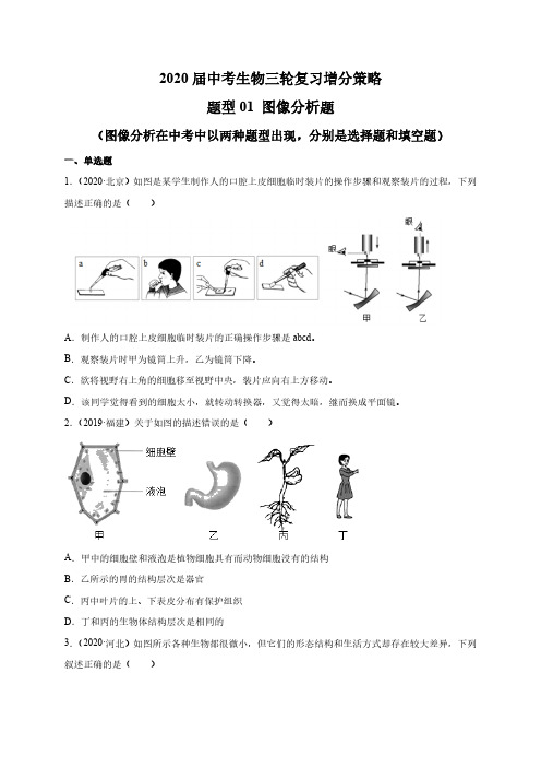 (中考生物)图像分析题-中考生物增分策略(题型专练)