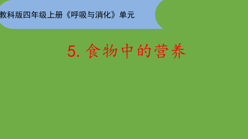 教科版科学四年级上册 2.5 食物中的营养 课件(共34张PPT)