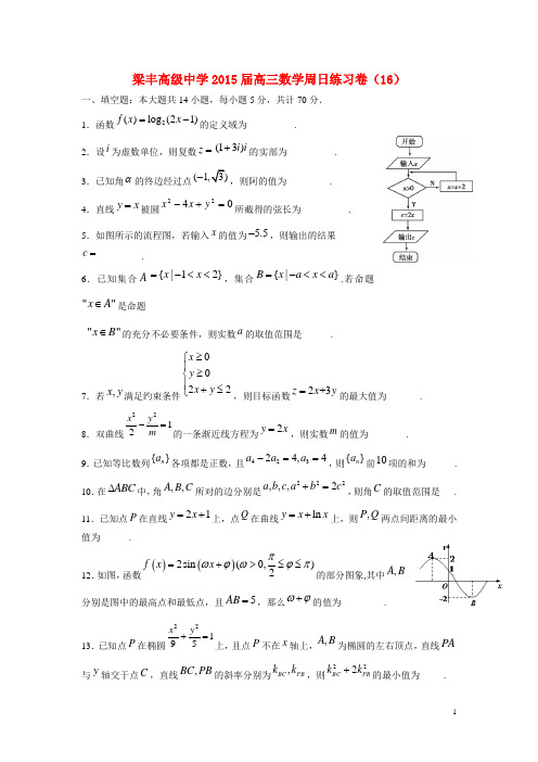 江苏省张家港市梁丰高级中学高三数学周练习卷(16)