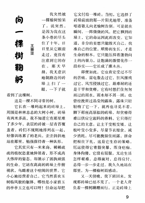 向一棵树鞠躬