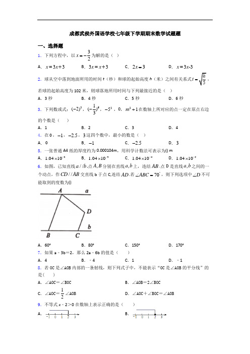 成都武侯外国语学校七年级下学期期末数学试题题