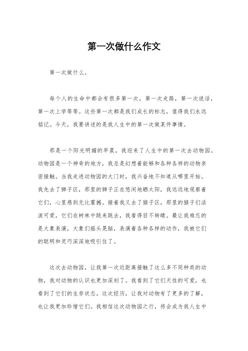 第一次做什么作文