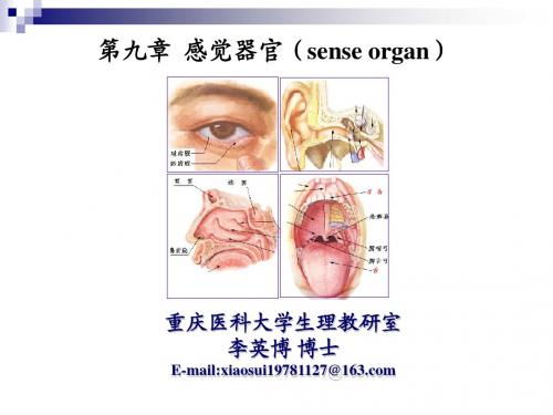 72第九章感觉器官-李英博