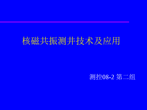 核磁共振测井技术2