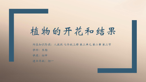 人教版七年级上册3.2.3开花和结果课件(14张ppt)优秀课件