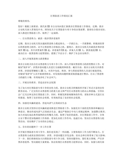 打黑除恶工作情况汇报