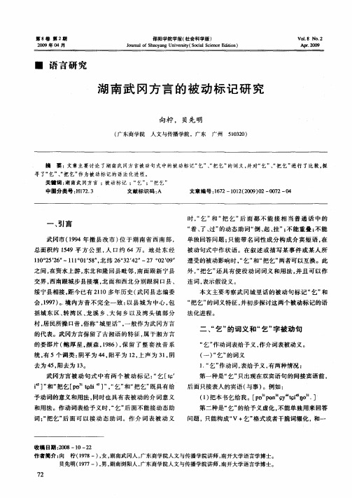 湖南武冈方言的被动标记研究