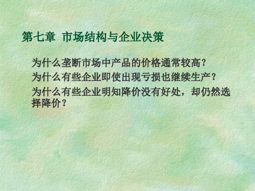 市场结构与企业决策分析报告