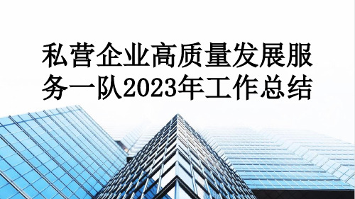 私营企业高质量发展服务一队2023年工作总结