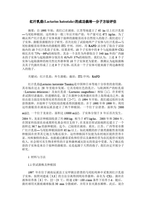 红汁乳菇(Lactarius hatsutake)的成功栽培—分子方法评估