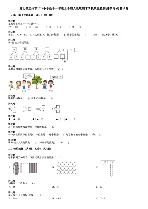 湖北省宜昌市2024小学数学一年级上学期人教版期末阶段质量检测(评估卷)完整试卷