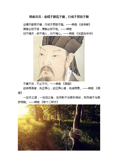 韩愈名言：业精于勤荒于嬉，行成于思毁于随