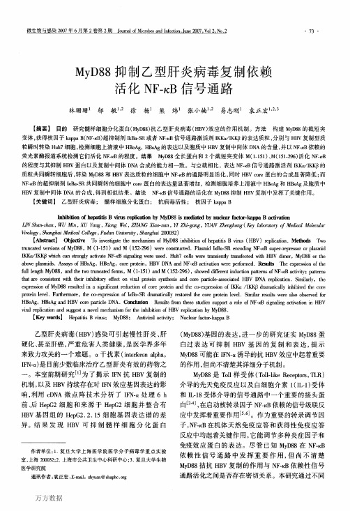 MyD88抑制乙型肝炎病毒复制依赖活化NF-κB信号通路