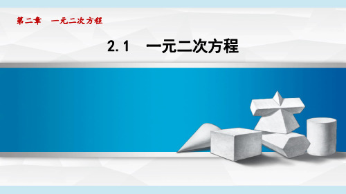 湘教版九年级数学  2.1 一元二次方程(学习、上课课件)