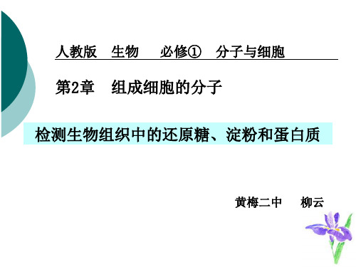 检测生物组织中的还原糖、淀粉和蛋白质