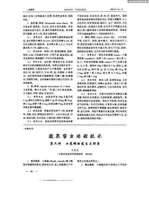 蔬菜害虫治理技术第六讲 小菜蛾的发生与防治
