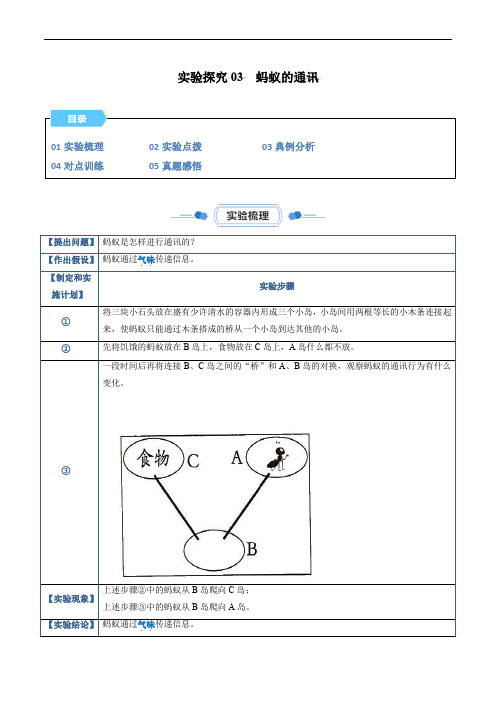 【八年级上册生物实验】实验探究03 蚂蚁的通讯(原卷版)