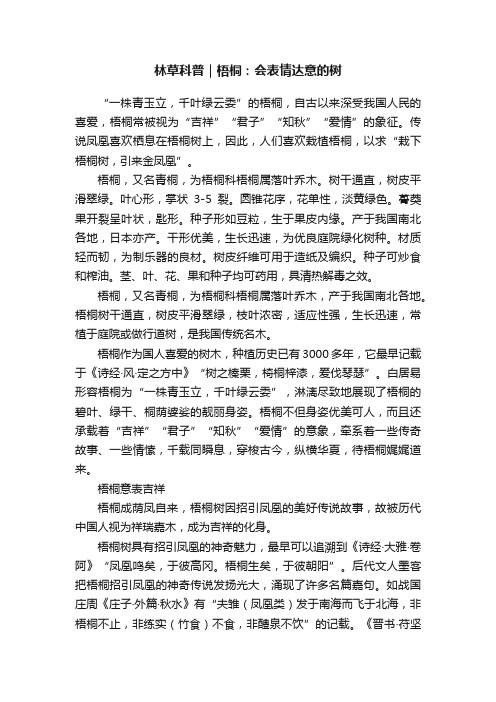 林草科普｜梧桐：会表情达意的树