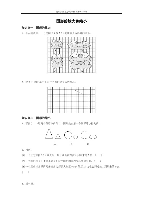 北师版数学六年级下册-《图形的放大和缩小》优选习题