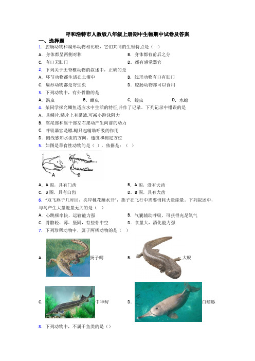 呼和浩特市人教版八年级上册期中生物期中试卷及答案