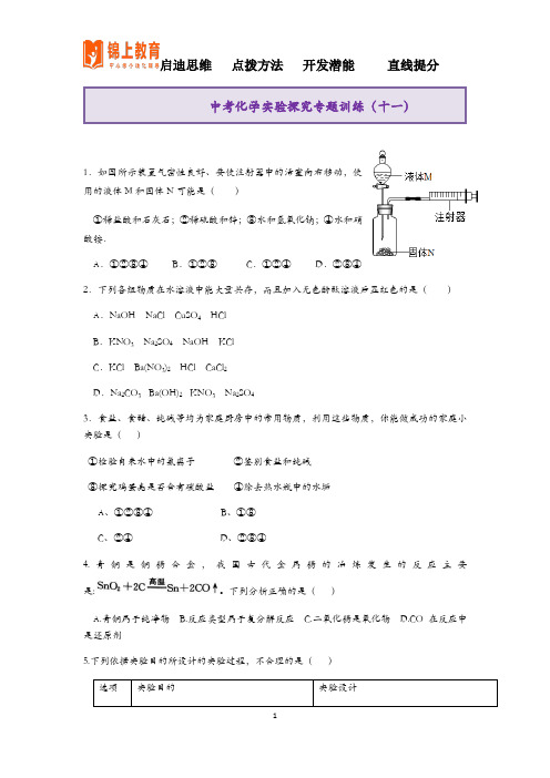 中考化学实验探究专题训练(十一)