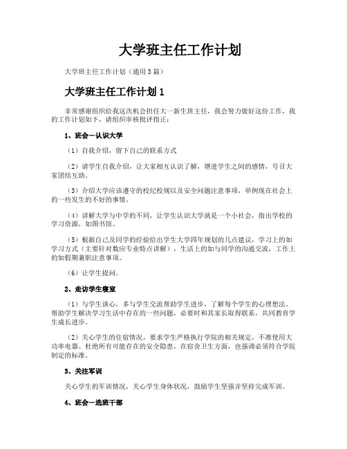 大学班主任工作计划