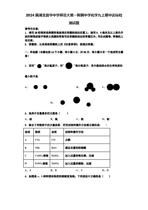 2024届湖北省华中学师范大第一附属中学化学九上期中达标检测试题含解析