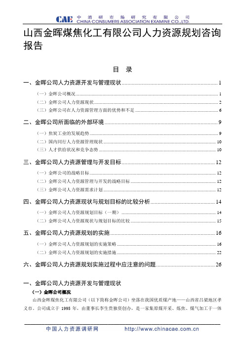 山西金晖煤焦化工有限公司人力资源规划咨询报告1