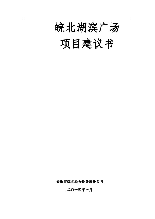 合肥市滨湖新区城市综合体项目建议书【管理资料】