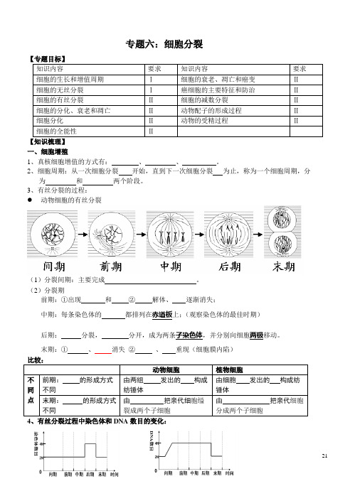 第六专题细胞分裂