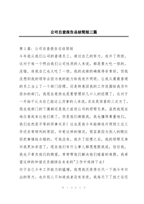 公司自查报告总结简短三篇