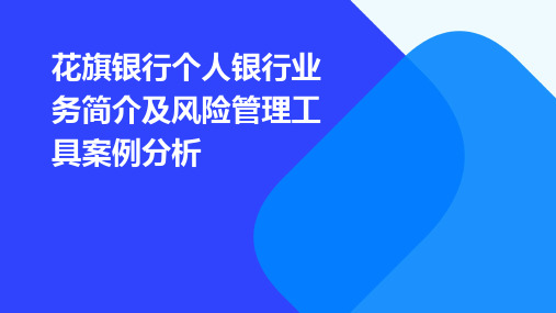 花旗银行个人银行业务简介及风险管理工具案例分析