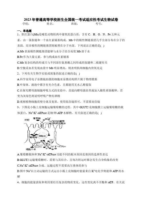 2023年普通高等学校招生全国统一考试适应性考试生物试卷(含答案)