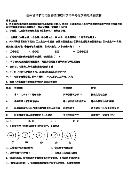 贵州省毕节市市级名校2024届中考化学模拟精编试卷含解析