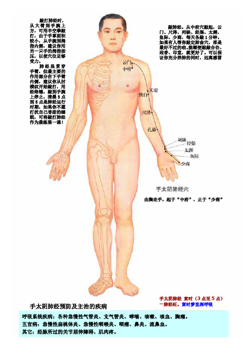 经络图及其拍打知识总结