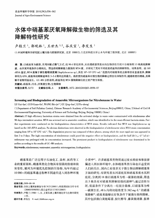 水体中硝基苯厌氧降解微生物的筛选及其降解特性研究