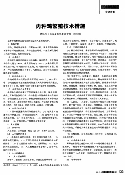 肉种鸡繁殖技术措施