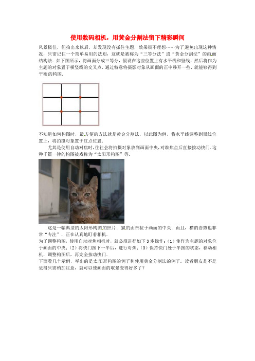 2015年春季新版苏科版九年级数学下学期6.2、黄金分割教案3