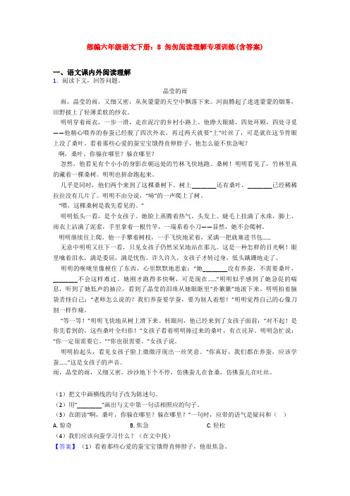 部编六年级语文下册：8 匆匆阅读理解专项训练(含答案)