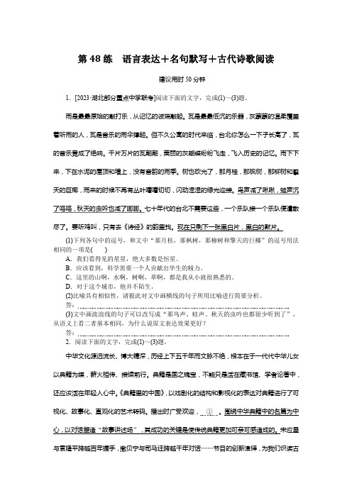 《微专题小练习》语文新高考 第48练