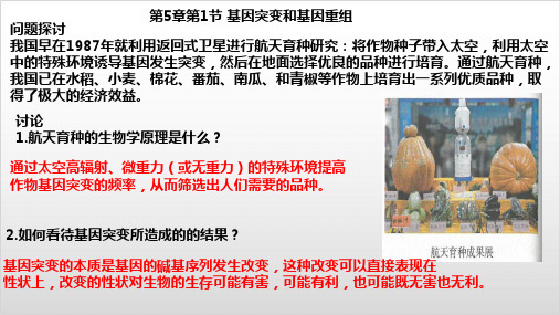 新教材基因突变和基因重组PPT名师课件人教版1