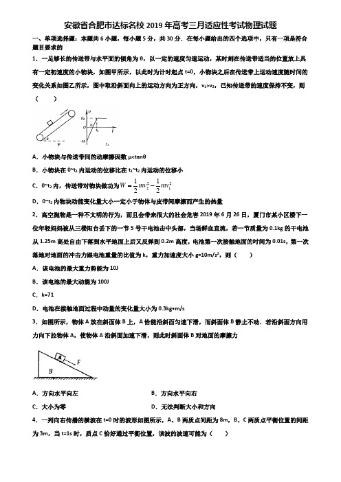 安徽省合肥市达标名校2019年高考三月适应性考试物理试题含解析