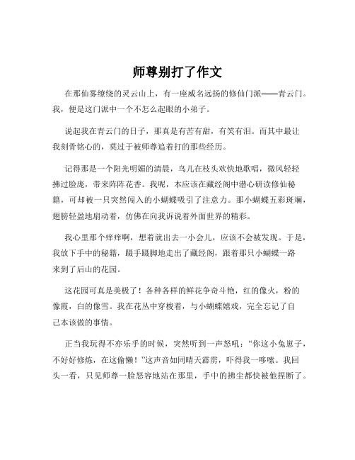 师尊别打了作文