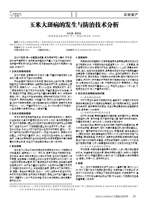 玉米大斑病的发生与防治技术分析