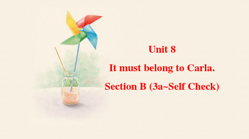 Unit8SectionB(3a-SelfCheck)课件人教版英语九年级全一册