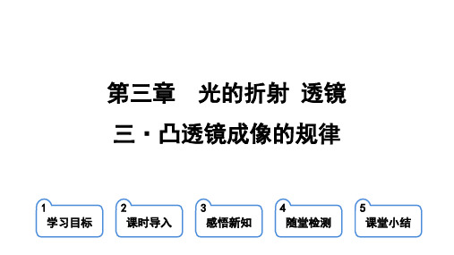 苏科版八年级物理上册第三章 光的折射 透镜 第三节 凸透镜成像的规律