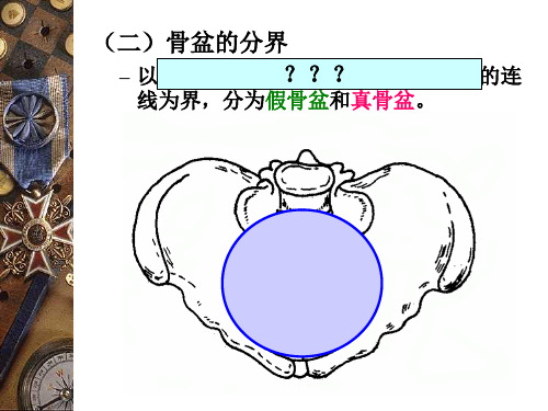 妇产科骨盆内、外测量