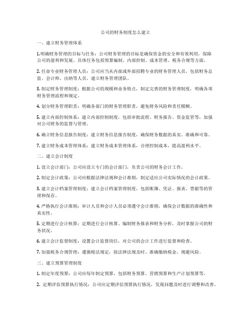 公司的财务制度怎么建立