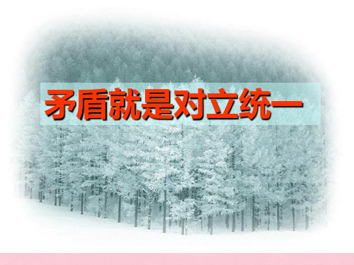 高中政治第九课 唯物辩证法的核心 矛盾就是对立统一课件人教版必修四